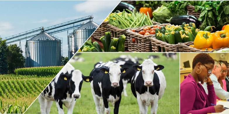 Environmental and Agricultural Sciences and Africa Food Systems
