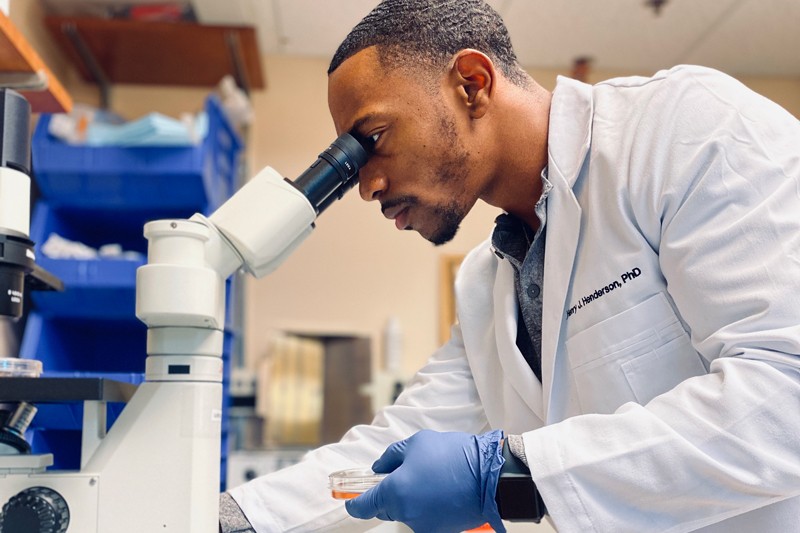 Medicine, Nursing and Public and Environmental Health Sciences